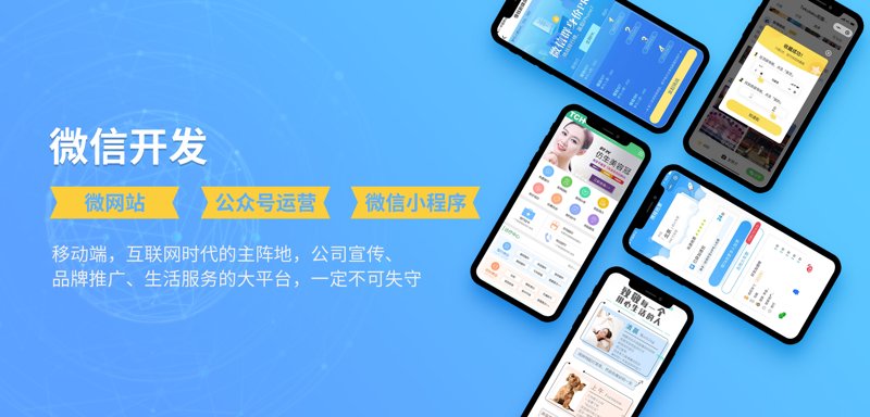 上海软件开发：技术之花在申城绽放